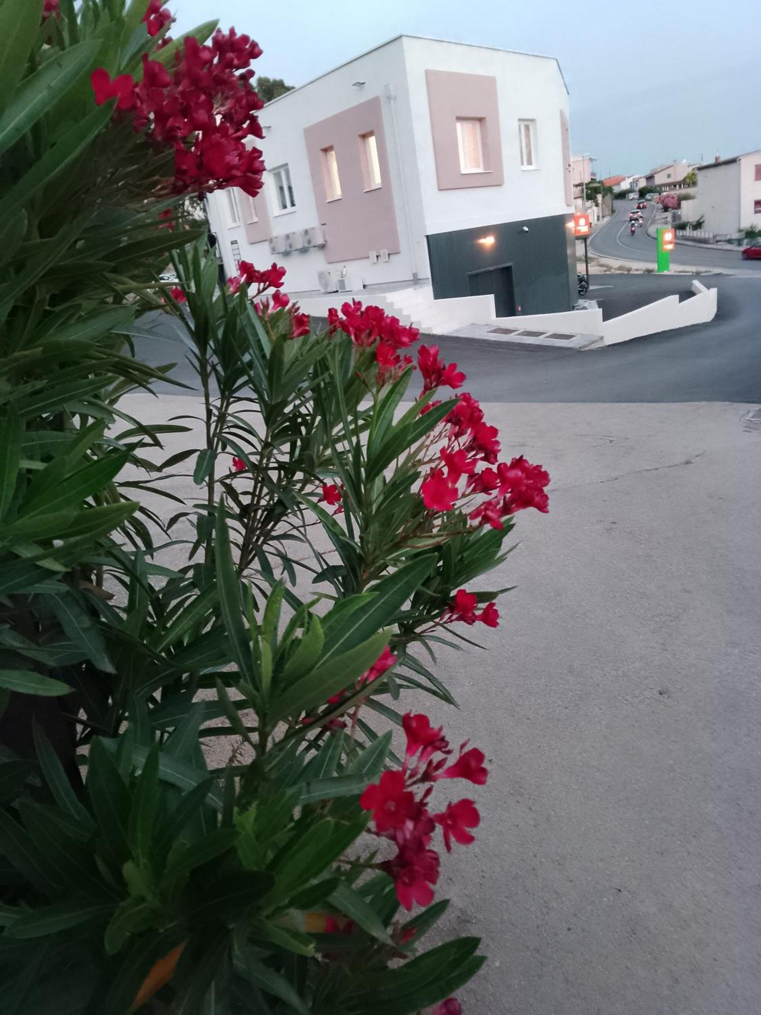 Apartmán Marin Šibenik Exteriér fotografie